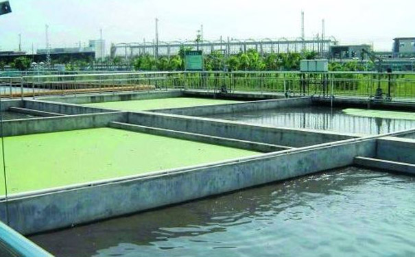 農藥廢水該（gāi）怎麽處（chù）理以及方法步驟