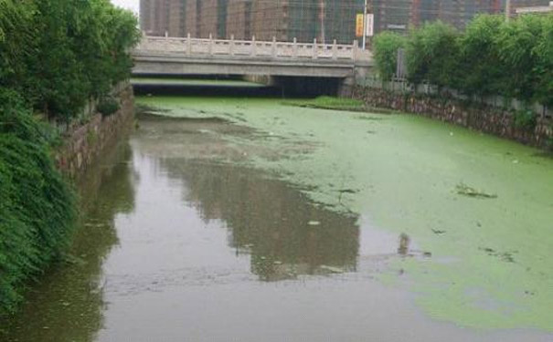 河道水體修複技術及技術因數要素製造方法