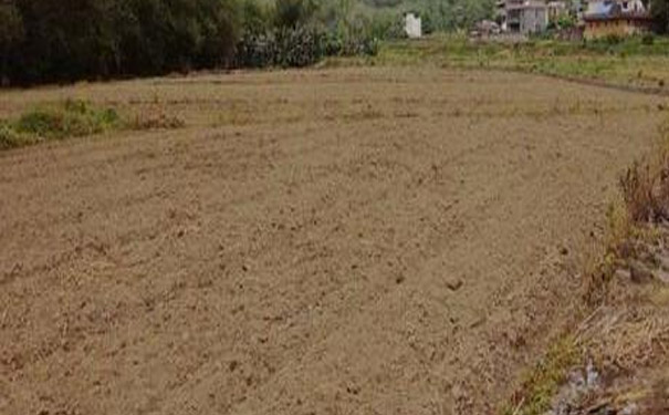分析汙染土壤修複物化治理技術