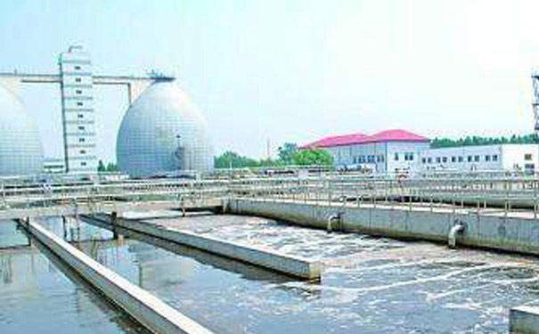 畜（chù）禽养殖场行业环境污染环境严重那么该怎么处理